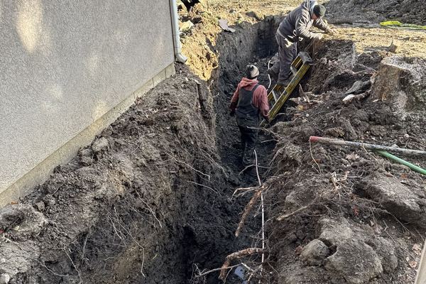 tree root removal from sewer line in Naperville IL